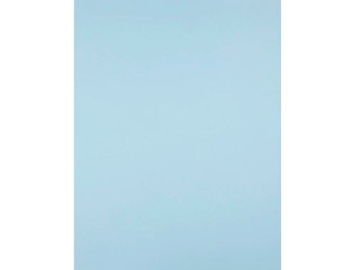 Cartolina liderpapel 50x65 cm 180 gr azul , Liderpapel , 28298 , 8423473065420